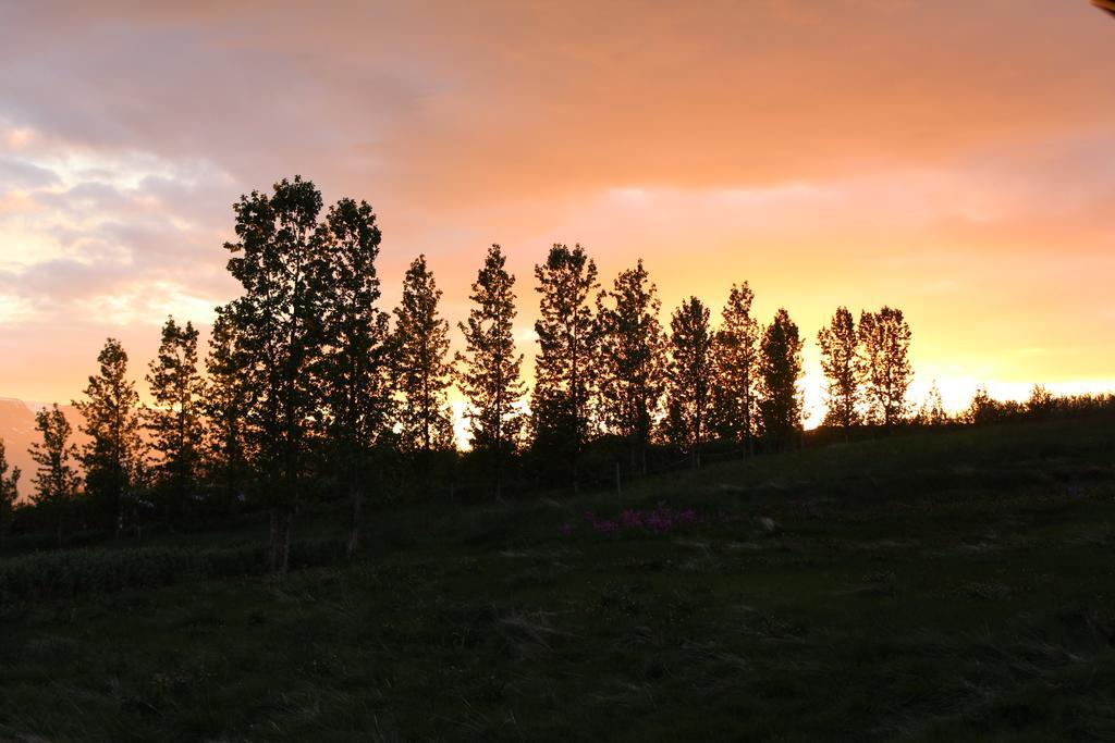 Akureyri Log Cottage Luaran gambar